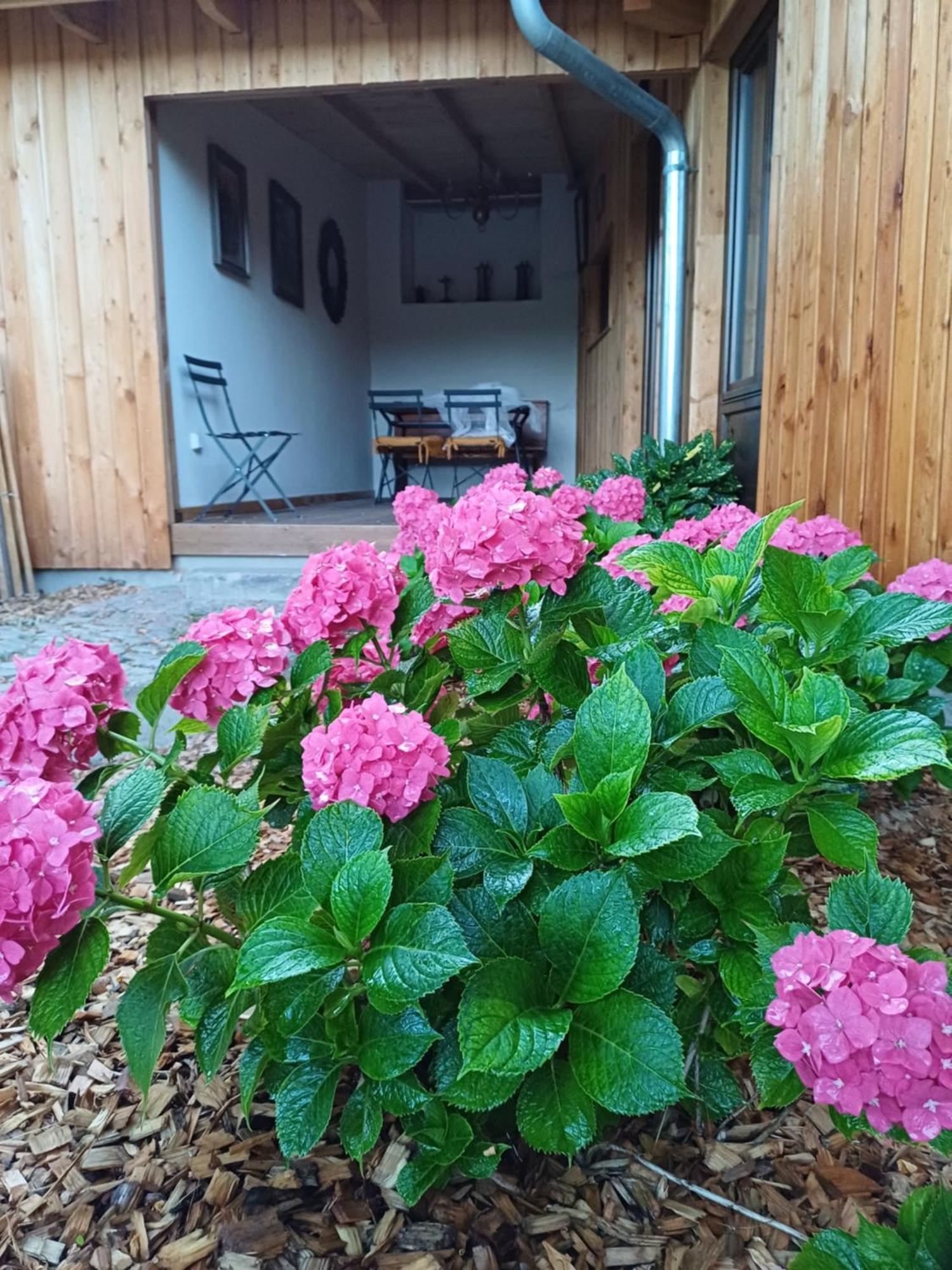 Les Cottages Du Chateau De Werde 마첸하임 외부 사진