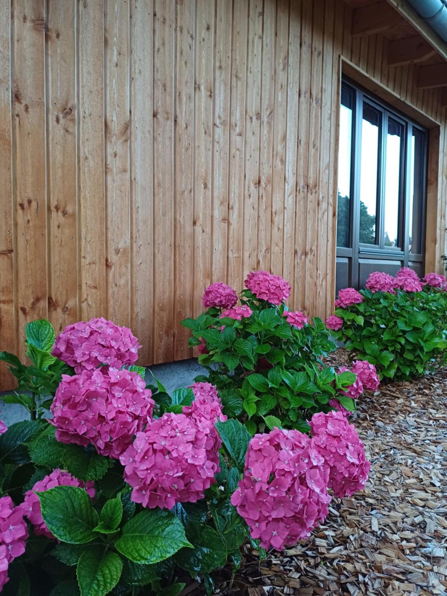 Les Cottages Du Chateau De Werde 마첸하임 외부 사진